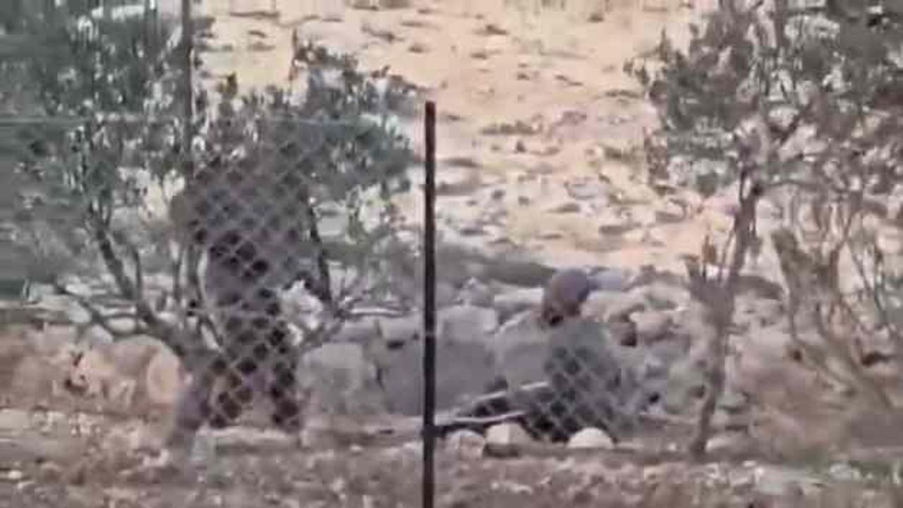 Filistinli yaşlı adama İsrail işkencesi: Bacağım yok!