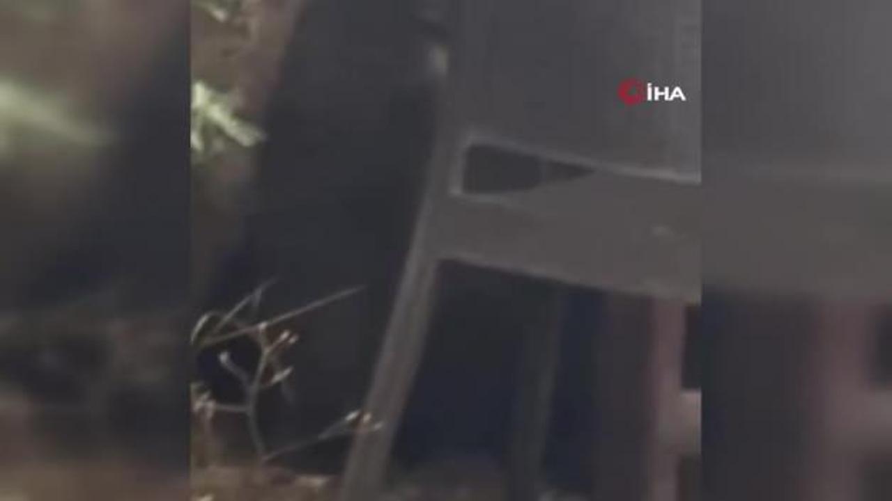 Kızılcahamam’da ayı lokantaya girdi, masaya oturdu!