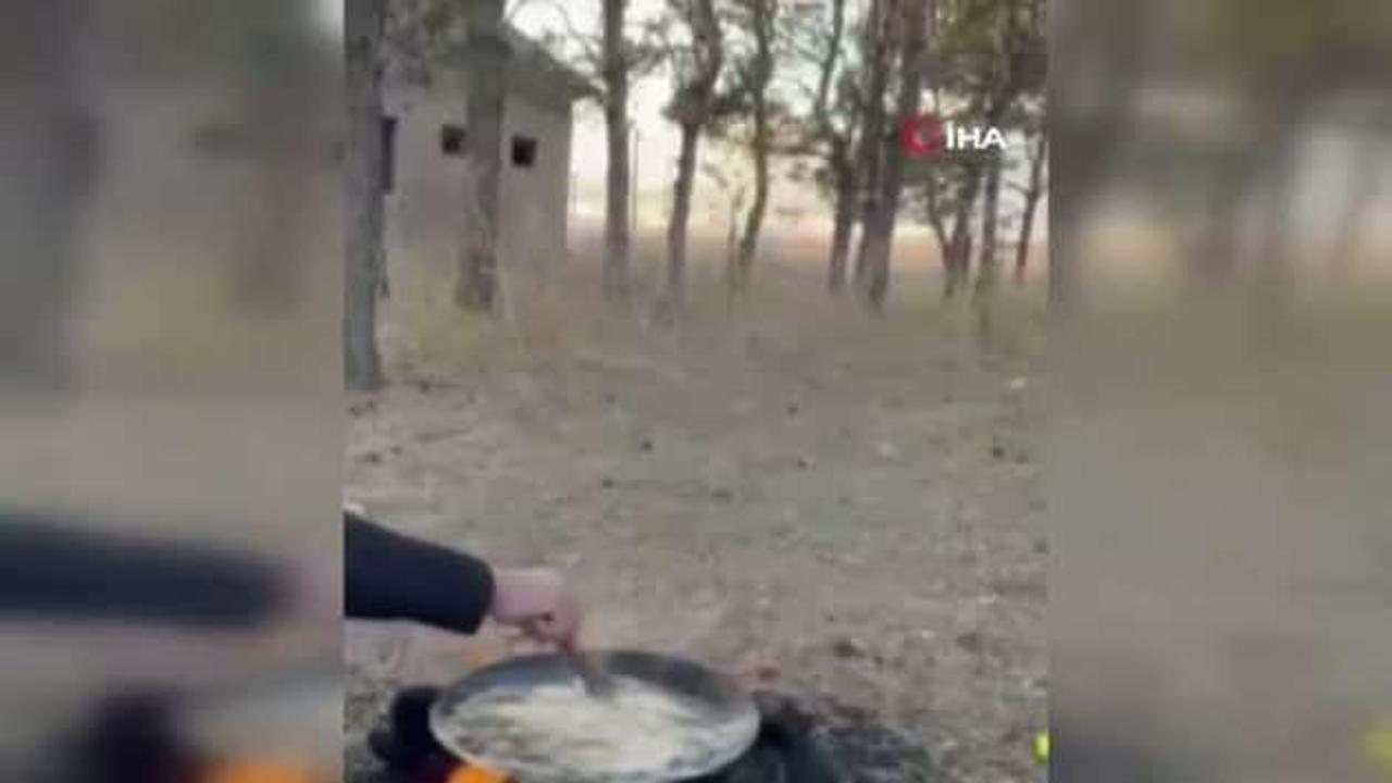 Aç kalan tilki vatandaşların sofrasına misafir old…