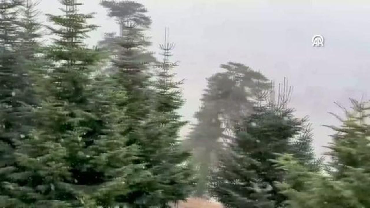 Bolu'ya mevsimin ilk karı yağdı