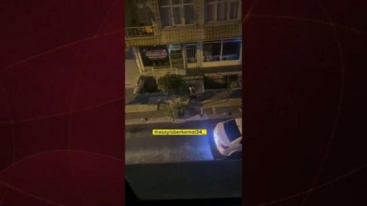 İstanbul'da pitbull cinsi köpek sahibine saldırdı!