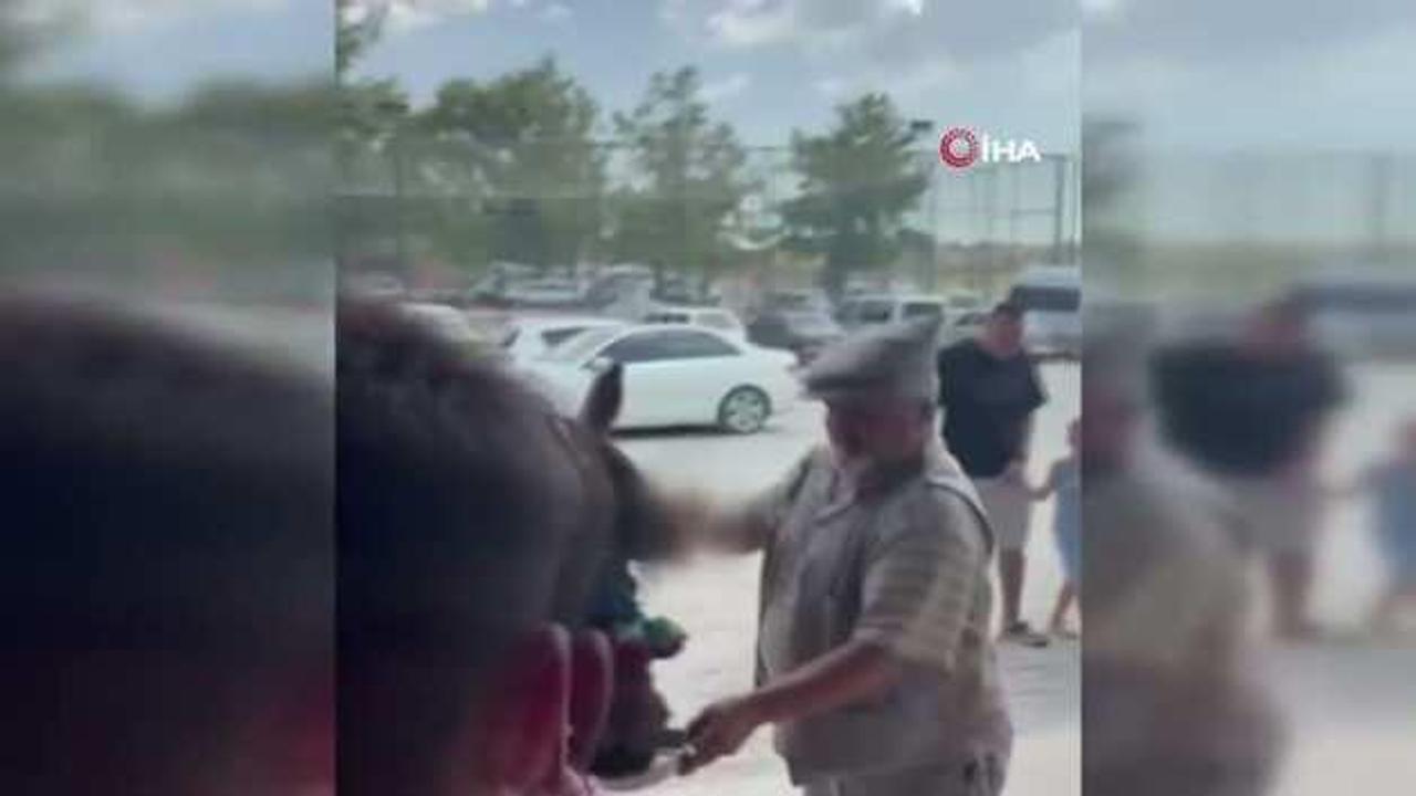 Rezillik! Fayton çeken ata zorla alkol içirdi
