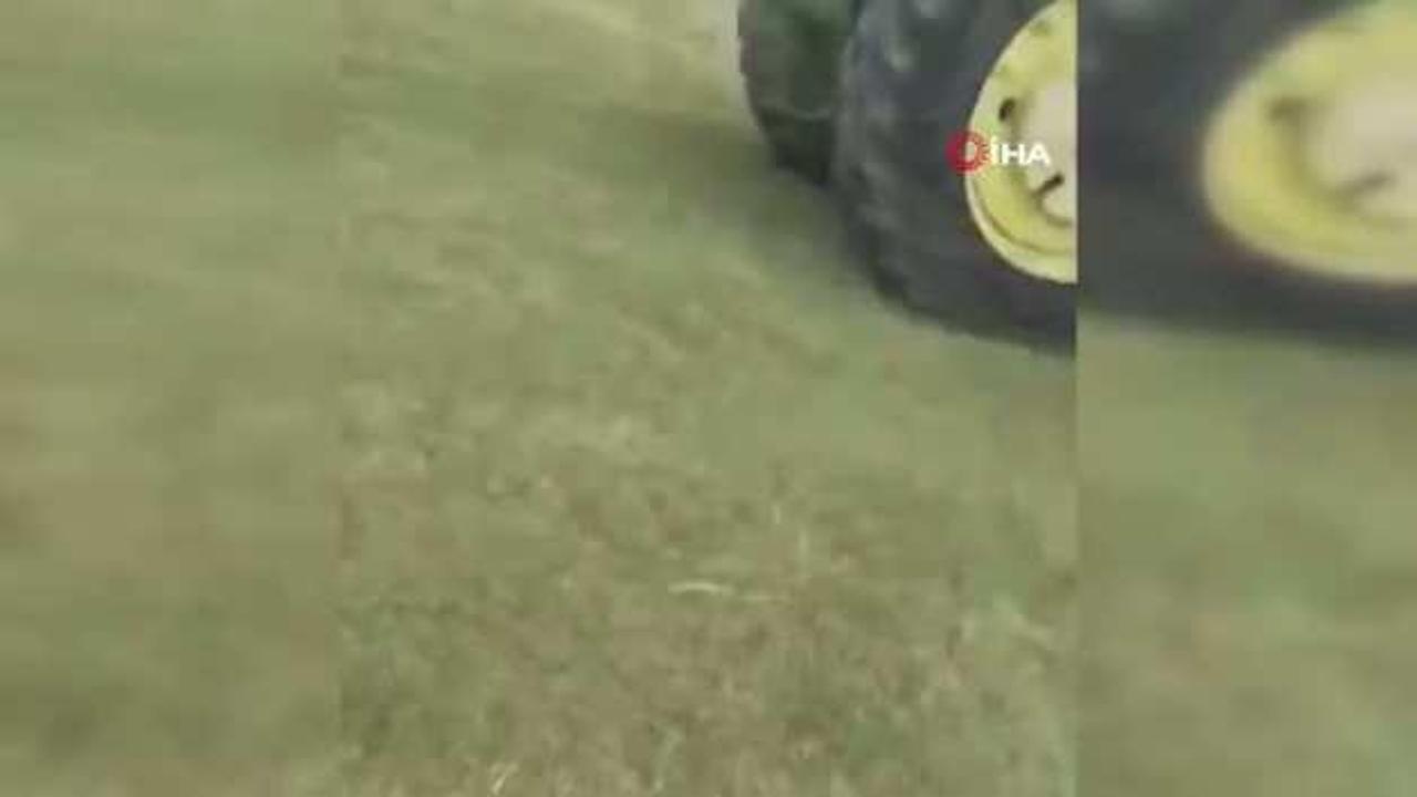 ABD'de tahıl silosu çöktü! Yaşanan panik anları kameraya böyle yansıdı