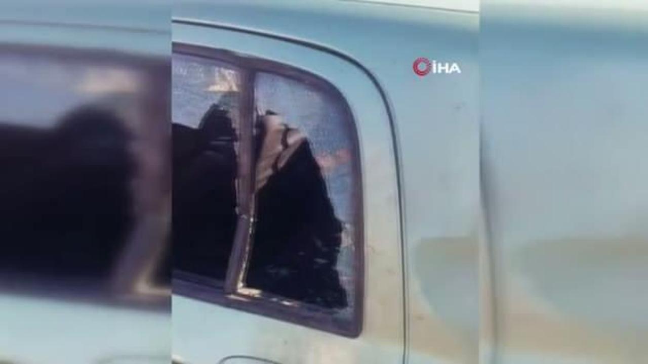 Gümüşhane’de ayı park halindeki araca saldırdı