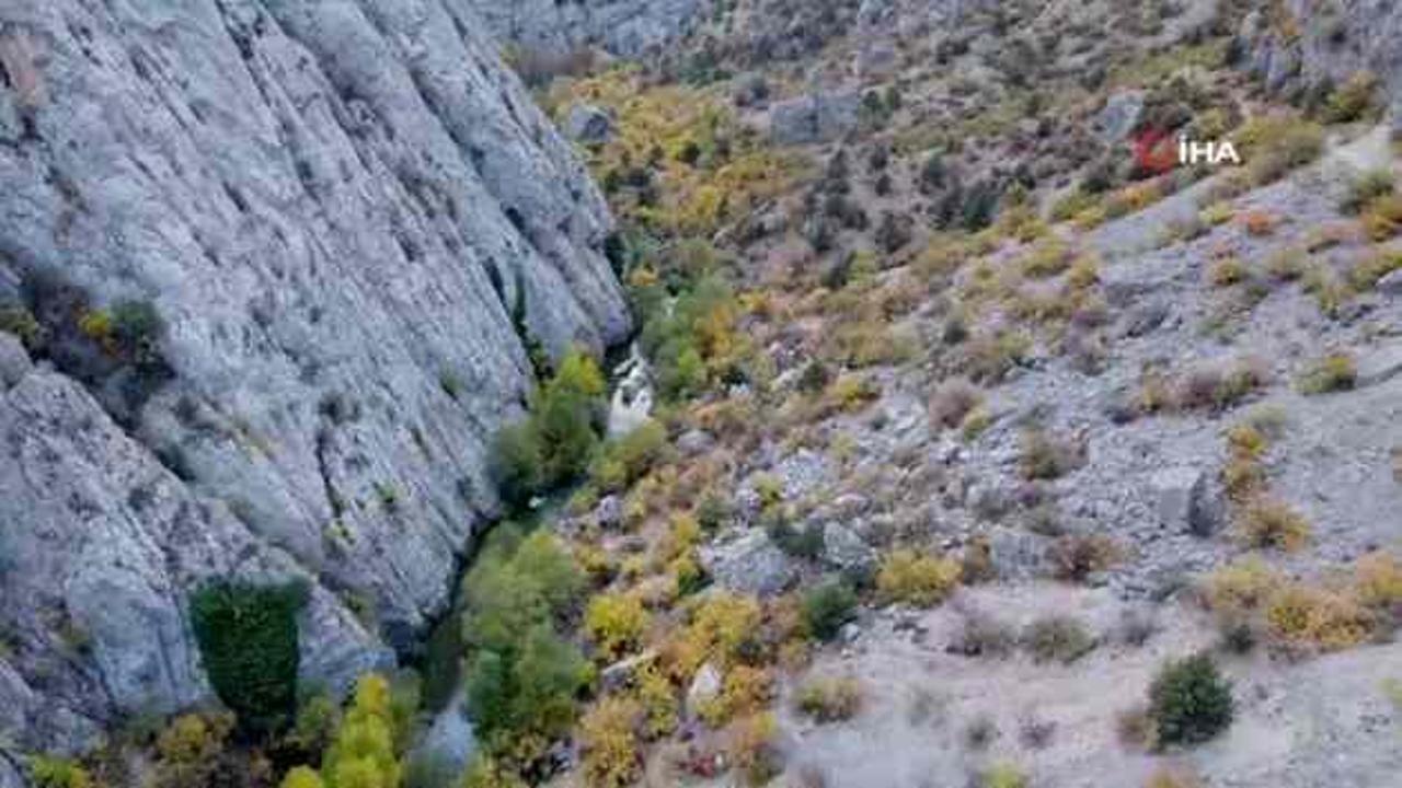Yozgat’ın gizli cenneti Kazankaya Kanyonu’nda sonbaharın güzelliği yaşanıyor