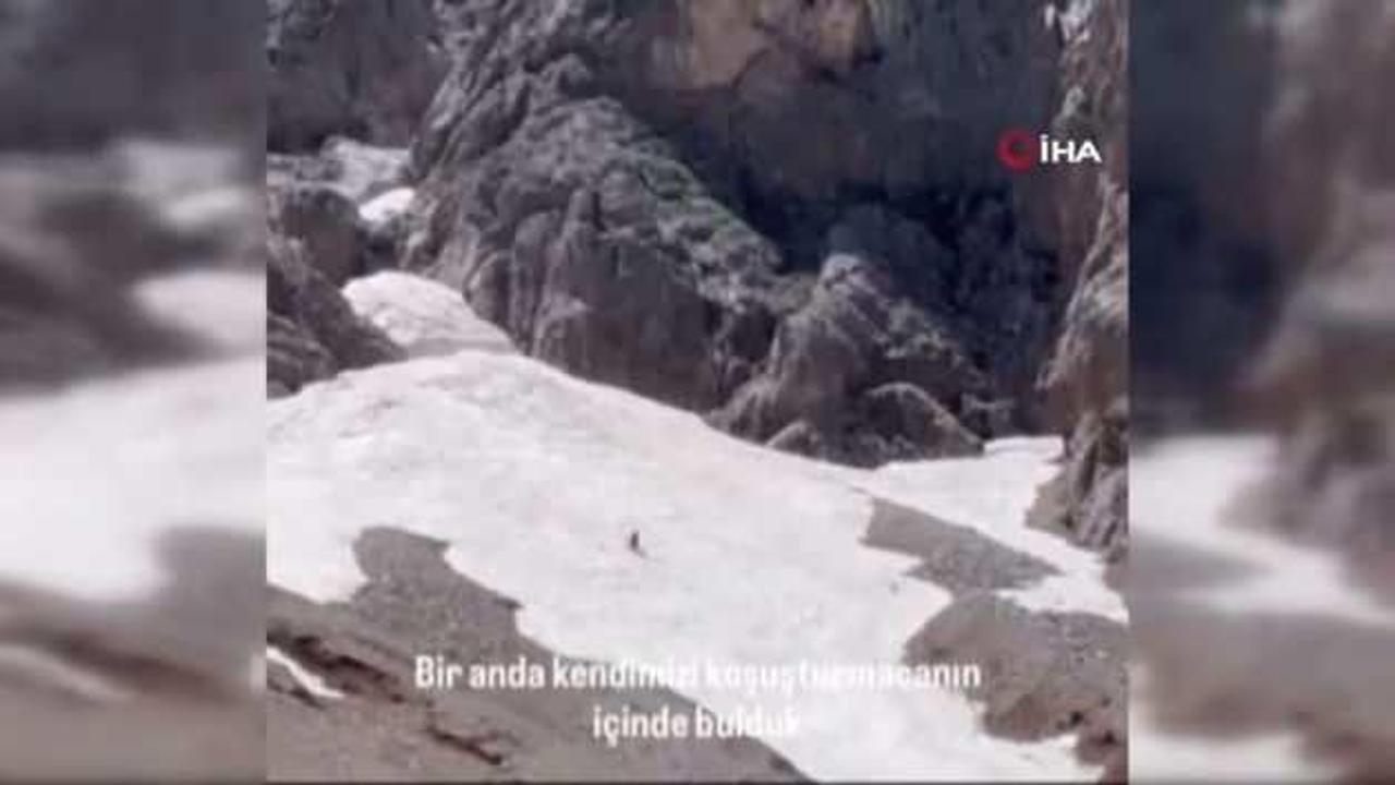 Serengetiyi aratmayan görüntüler! Ayının avlandığı anlar dron ile görüntülendi