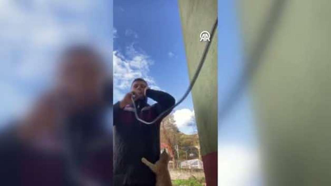 Gülümseten anlar: Yavru kedi, ezan okuyan imamın üstüne tırmandı