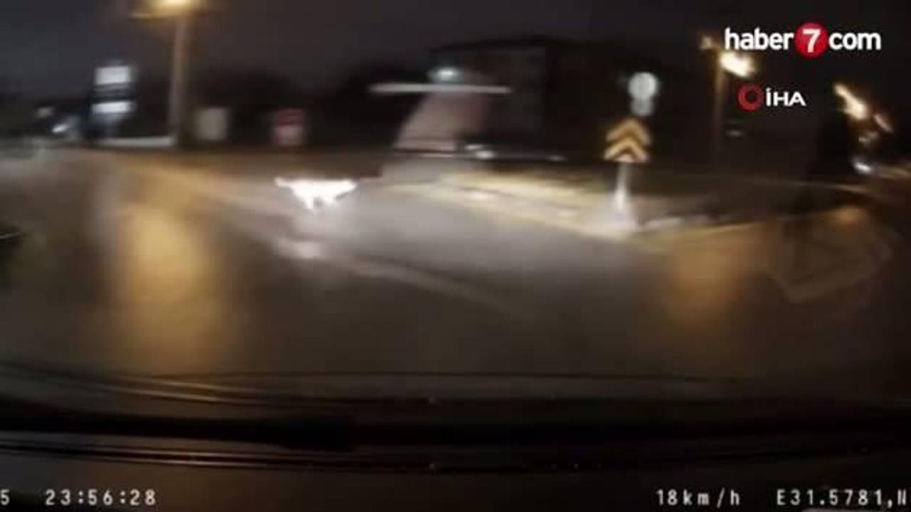 Sokakta köpeklerin kovaladığı genci böyle kurtardı