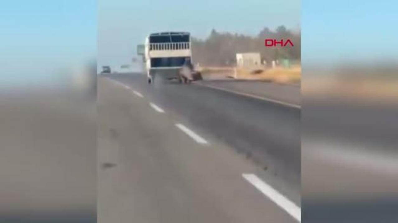 Kamyonetin arkasına bağladığı atı dakikalarca sürükledi; o anlar kamerada