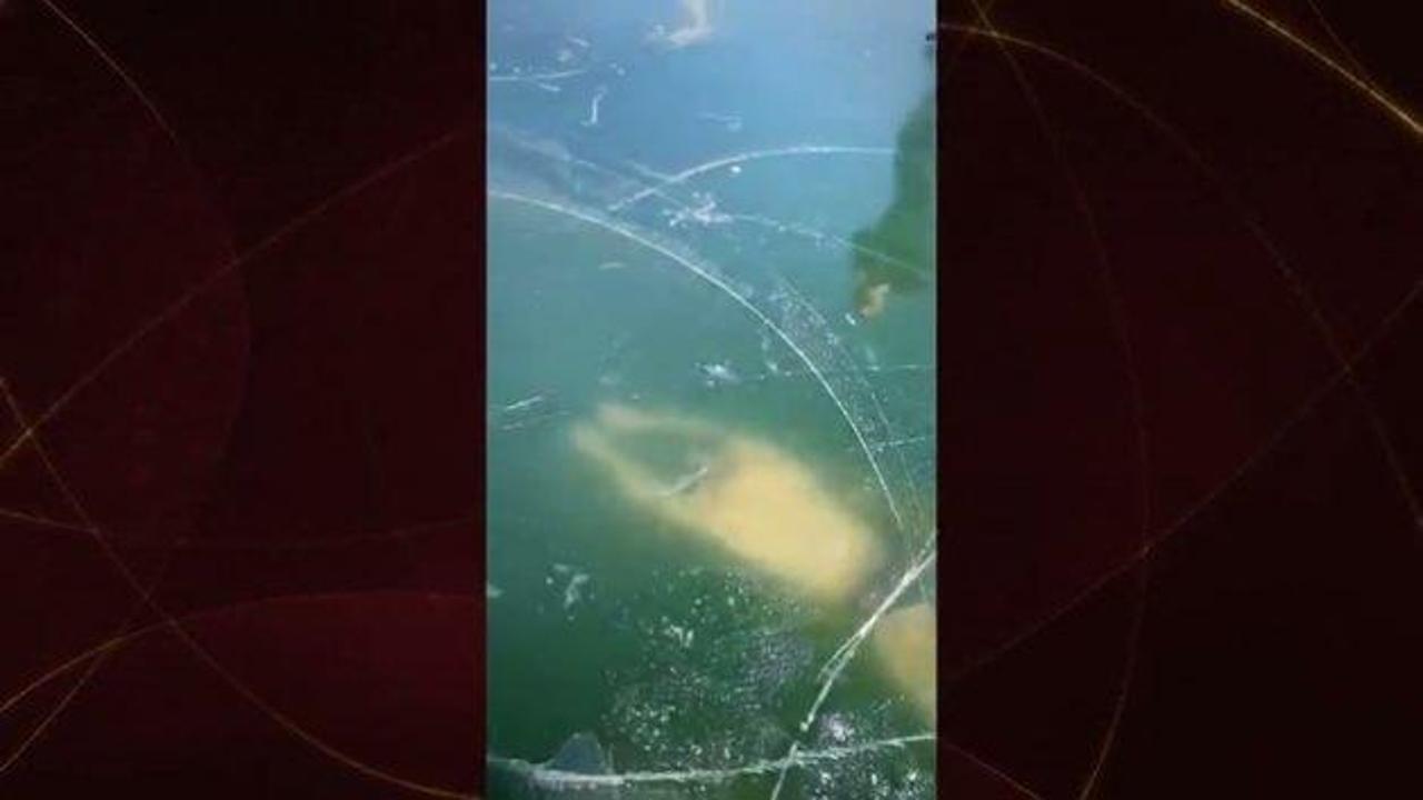 Hassas içerik: Slovak yüzücü buzun altında mahsur kaldı