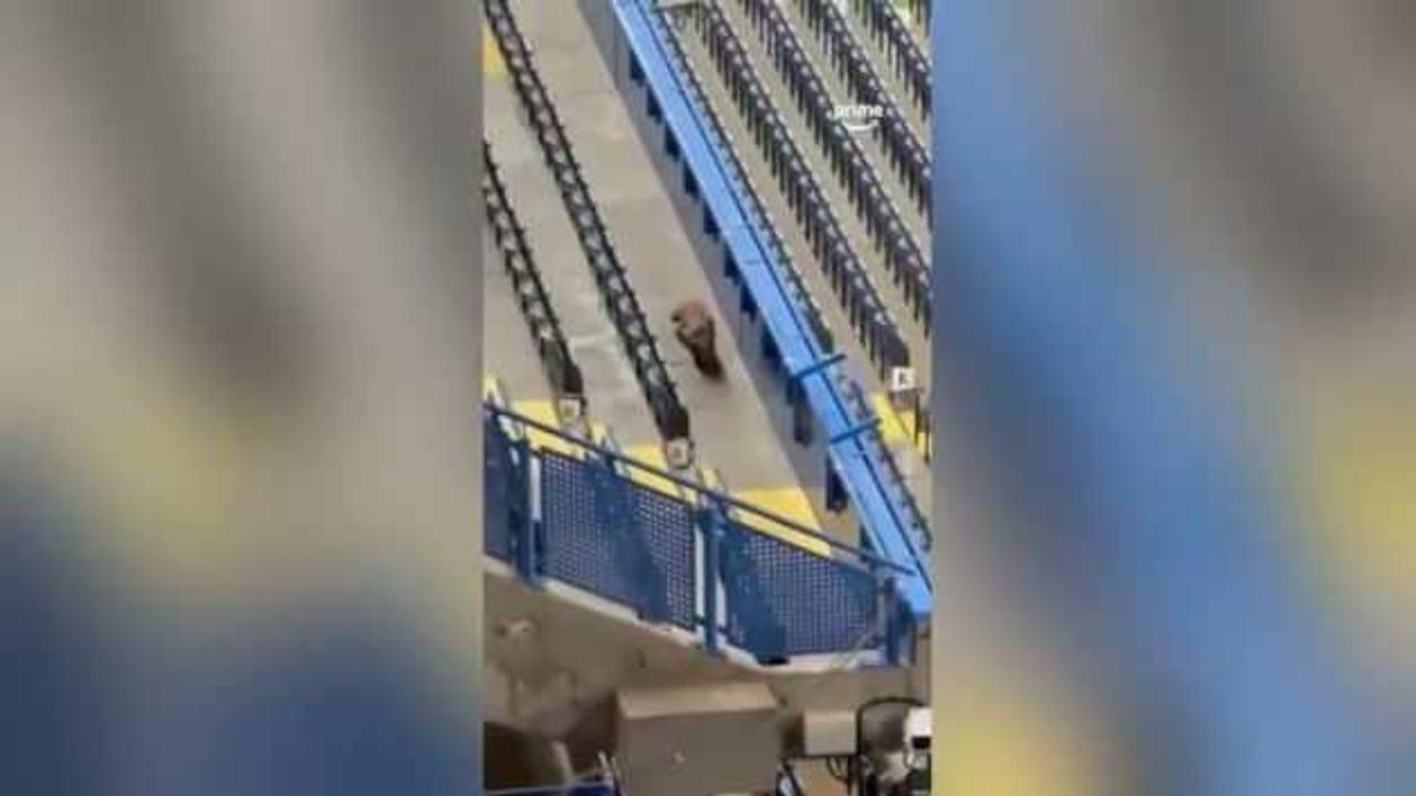 Şampiyonlar Ligi maçı öncesi 'Tilki' alarmı!