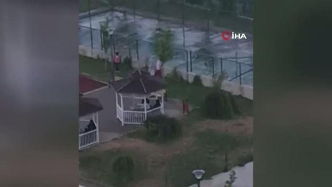 Ankara'da iki kardeşe saldırmıştı! Pitbullu tasmasız ve ağızlıksız gezdirmiş