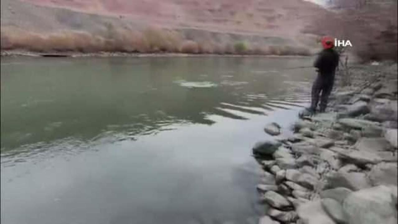 Elazığ'da 60 kiloluk turna balığı yakalandı