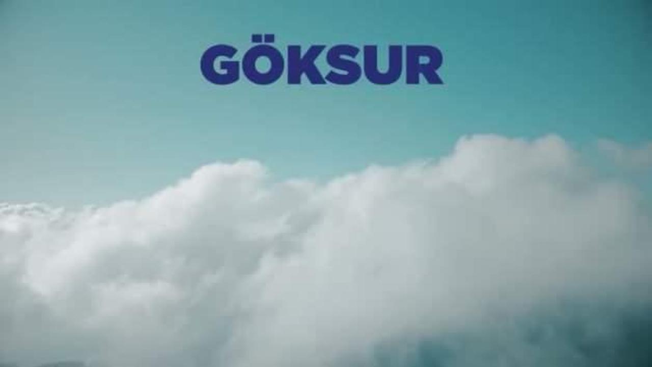 Denizlerin koruyucusu: ASELSAN GÖKSUR