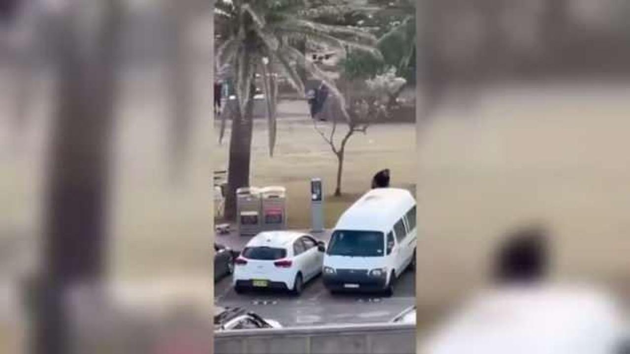 Silah tecrübesi olmayan manav Avustralya'da kahraman oldu: Çıplak elle destan yazdı!