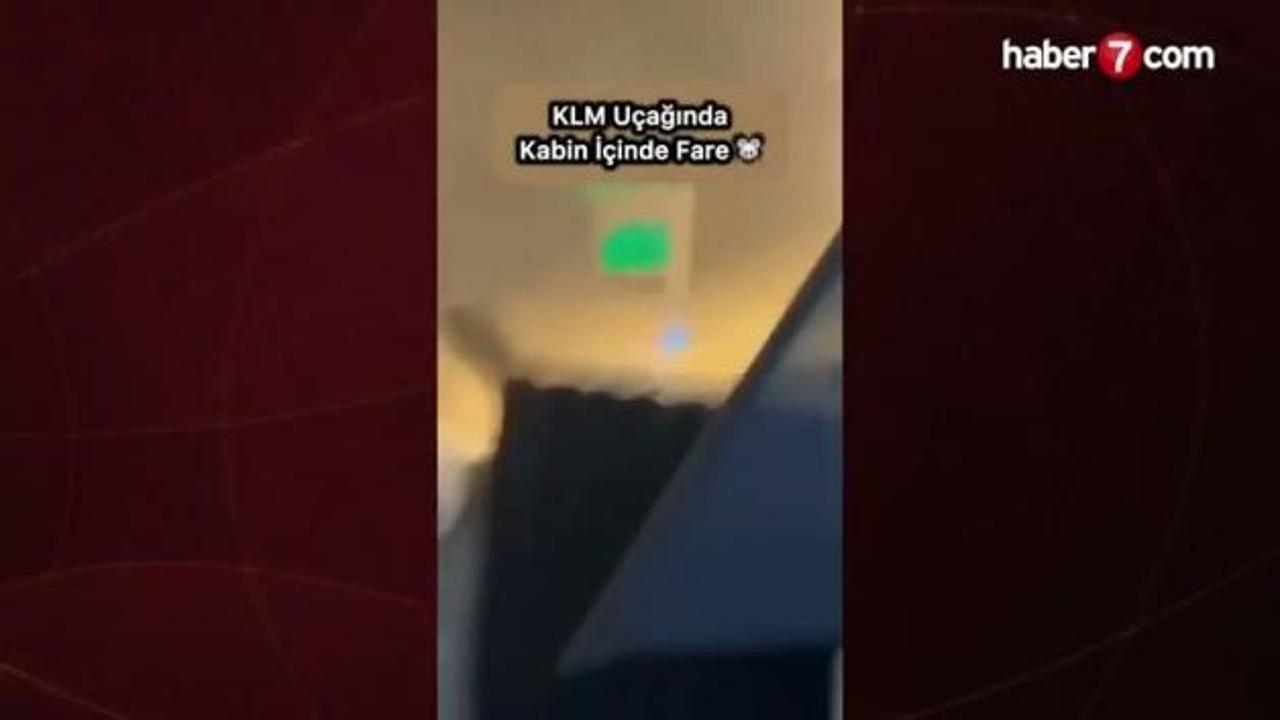 Uçaktaki fare paniğe neden oldu!