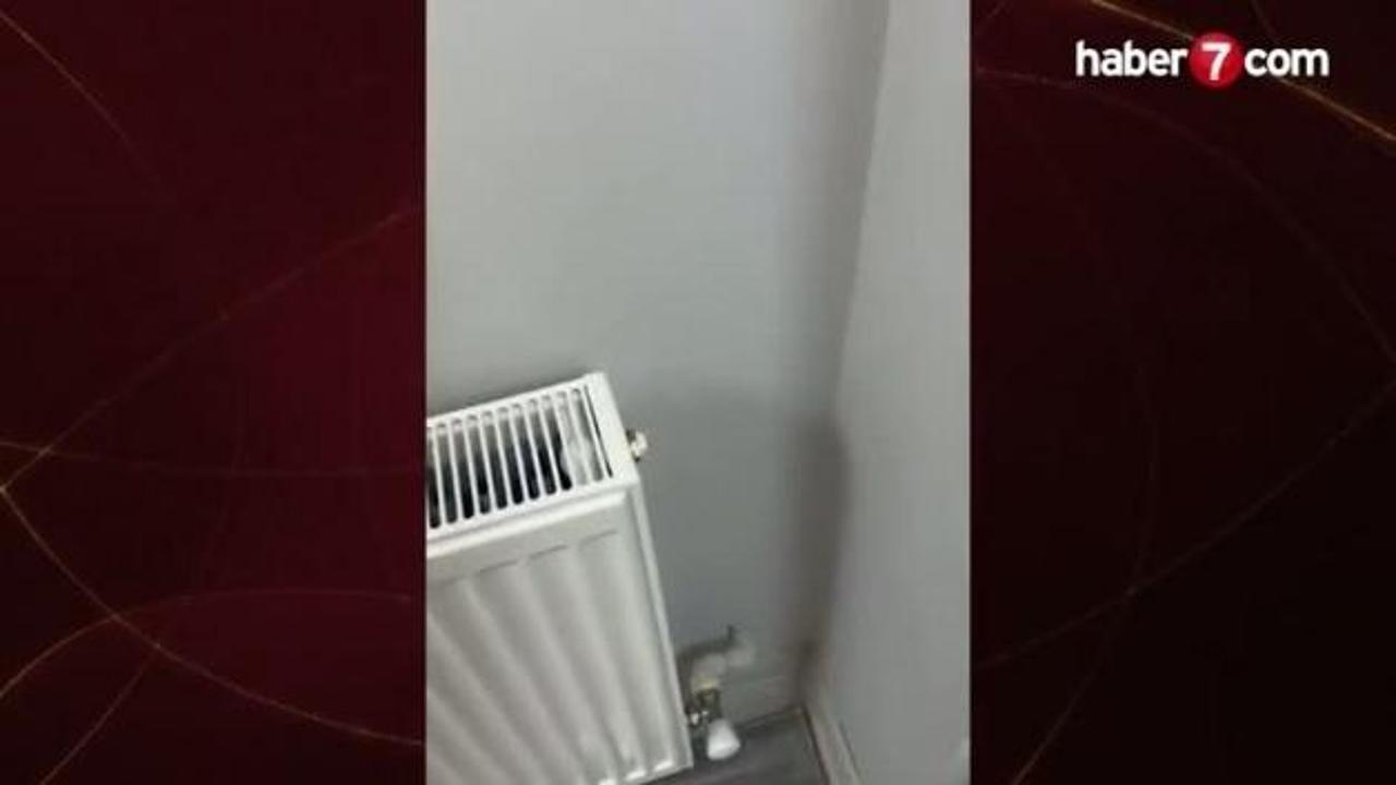 Petek tamirine giden usta hayatının şokunu yaşadı: Tesisat duvara saplanmış borulardan ibaret çıktı