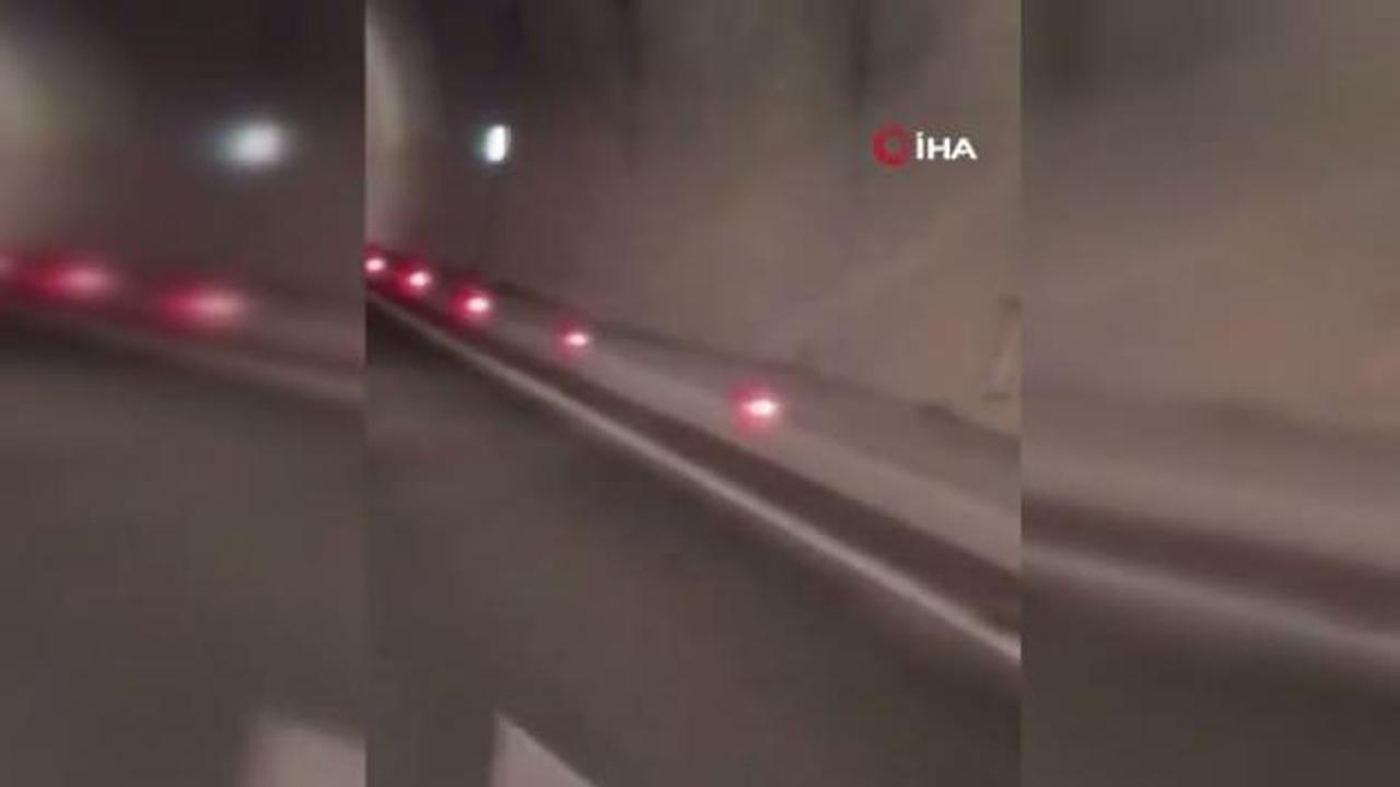 Tünele giren 3 ayı az kalsın kazaya neden oluyordu