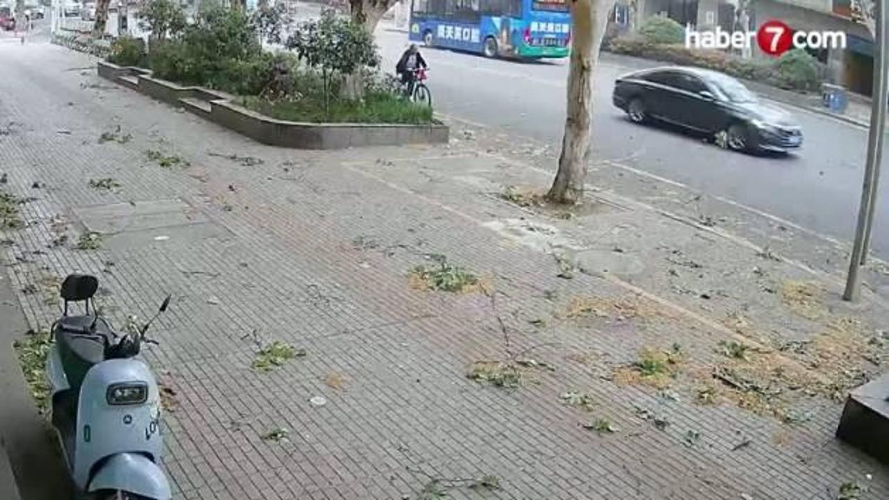 Çin'de talihsiz kaza: Bisikletli yaşlı adamın üzerine ağaç dalı düştü