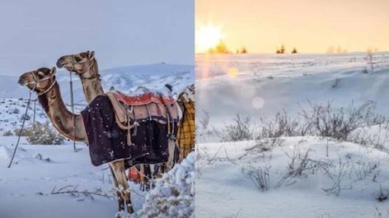 Beyaz rahmet Arabistan'a yağdı! İşte bölge halkını şaşırtan kar yağışı