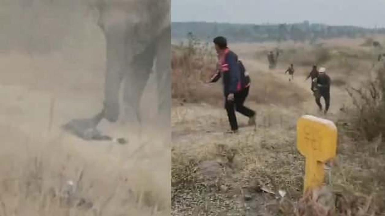 Hindistan’da fil sürüsünden korkunç saldırı: 4 ölü, çok sayıda yaralı var