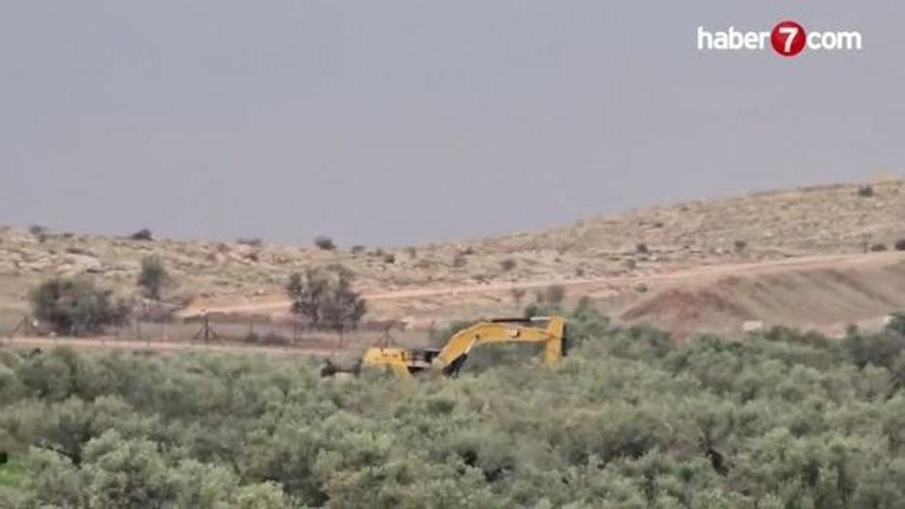 İsrail, 'güvenlik' bahanesiyle 400 zeytin ağacını söktü
