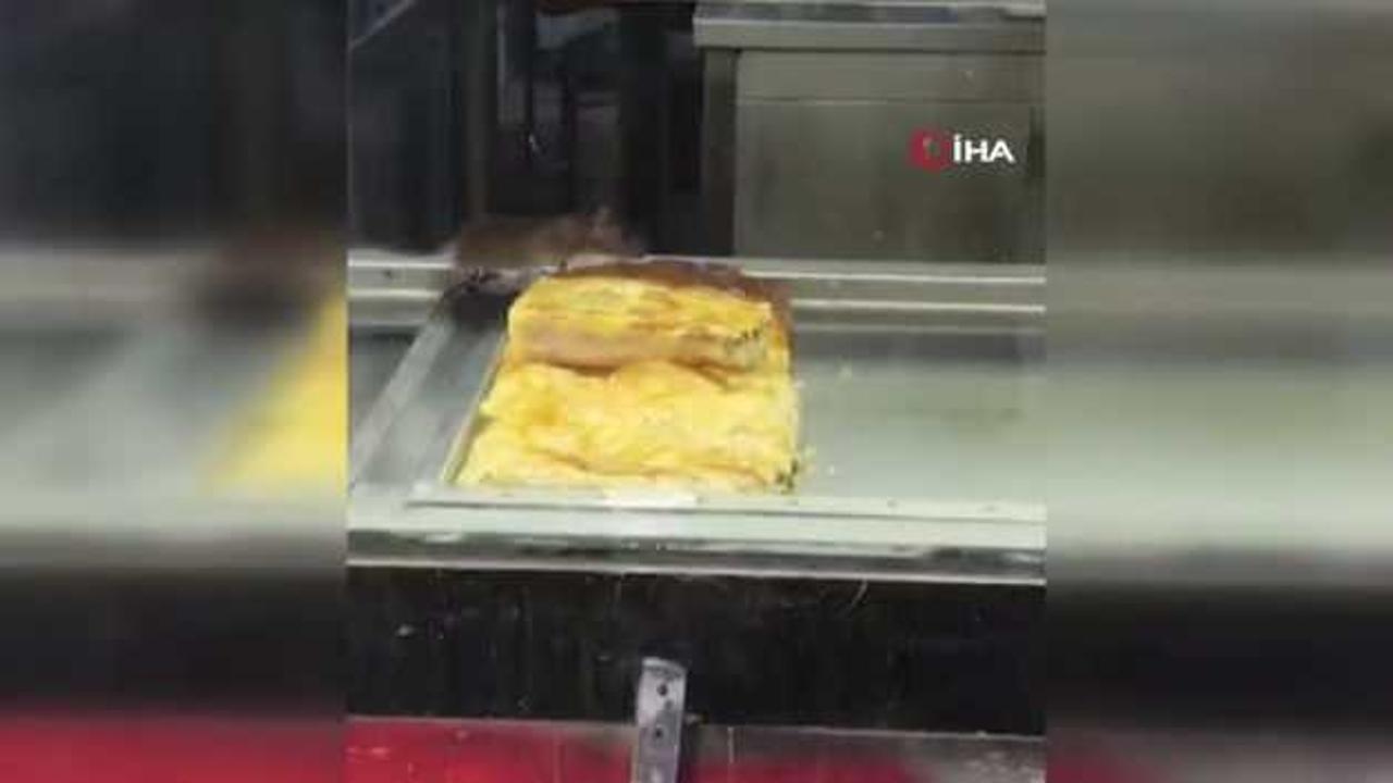 İzmir'de 'yok artık' dedirten görüntü: Börek tezgahlarında fare cirit attı