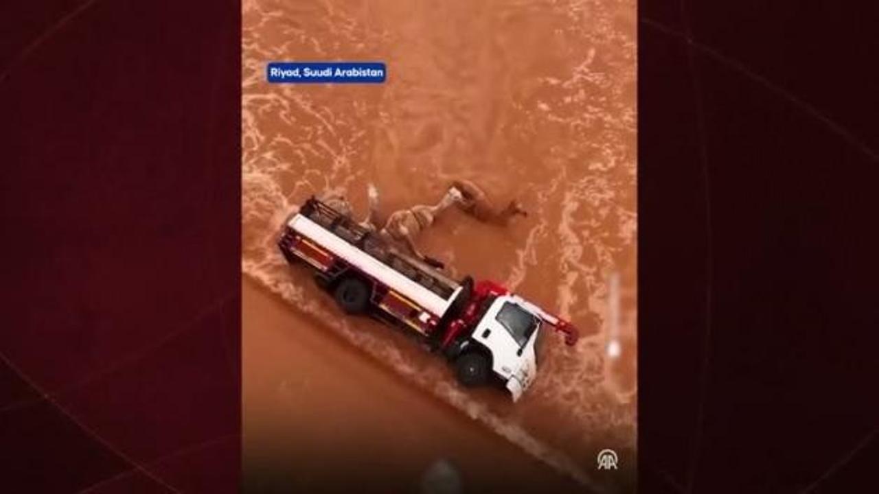 Suudi Arabistan şiddetli yağışlara teslim oldu