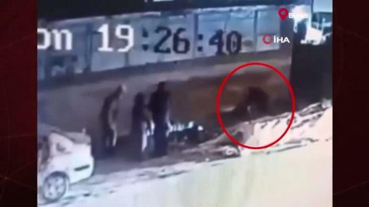 Bursa'da başıboş sokak köpeği dehşeti: 3 kişi yaralandı