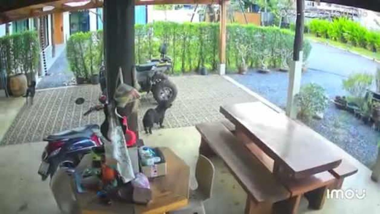 Tayland ile Kamboçya, sınır çatışmalarına devam ed…