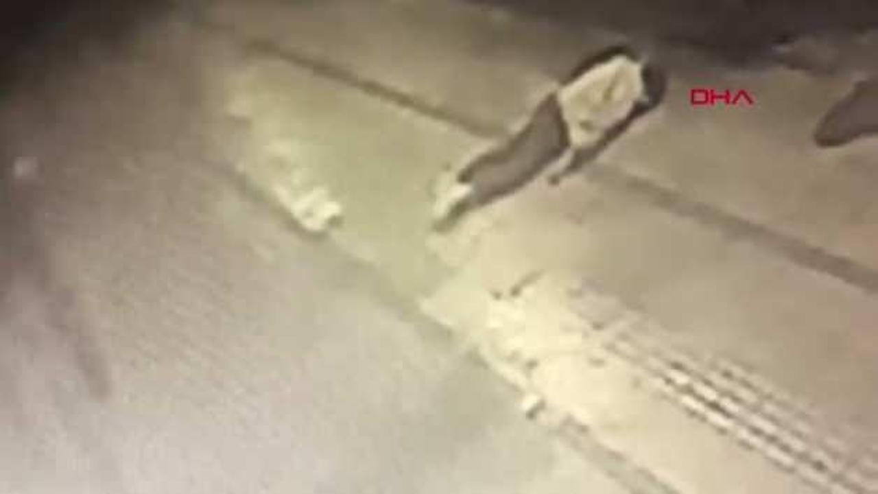 Paramedik Hamit Aras davasında yürek yakan anlar: Anne görüntüler karşısında gözyaşlarına boğuldu