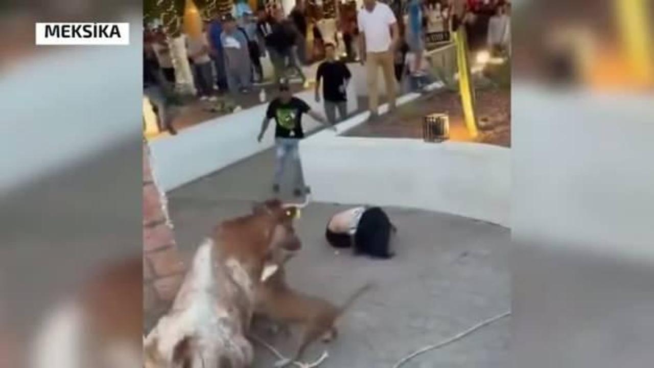 Meksika'da kızgın boğa dehşet saçtı! Yakaladığı kadını havaya fırlattı