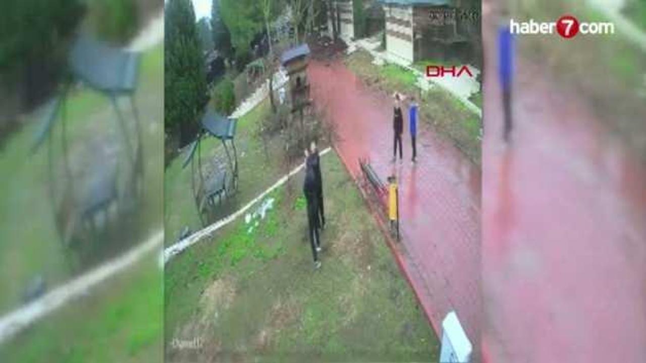 Dinozor Park’ta kuş yuvalarının parçalanmasına tepki