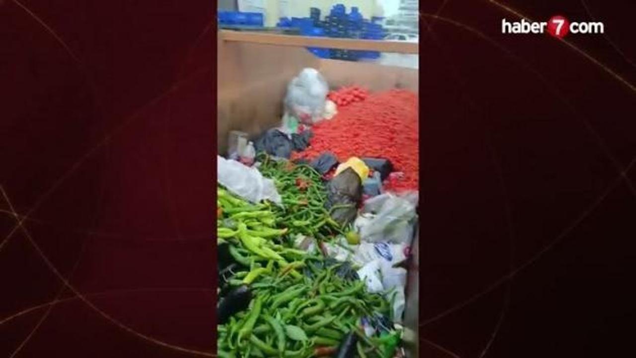 Kilolarca sağlam sebze çöpe atıldı! Vicdansızlık vatandaş kamerasında