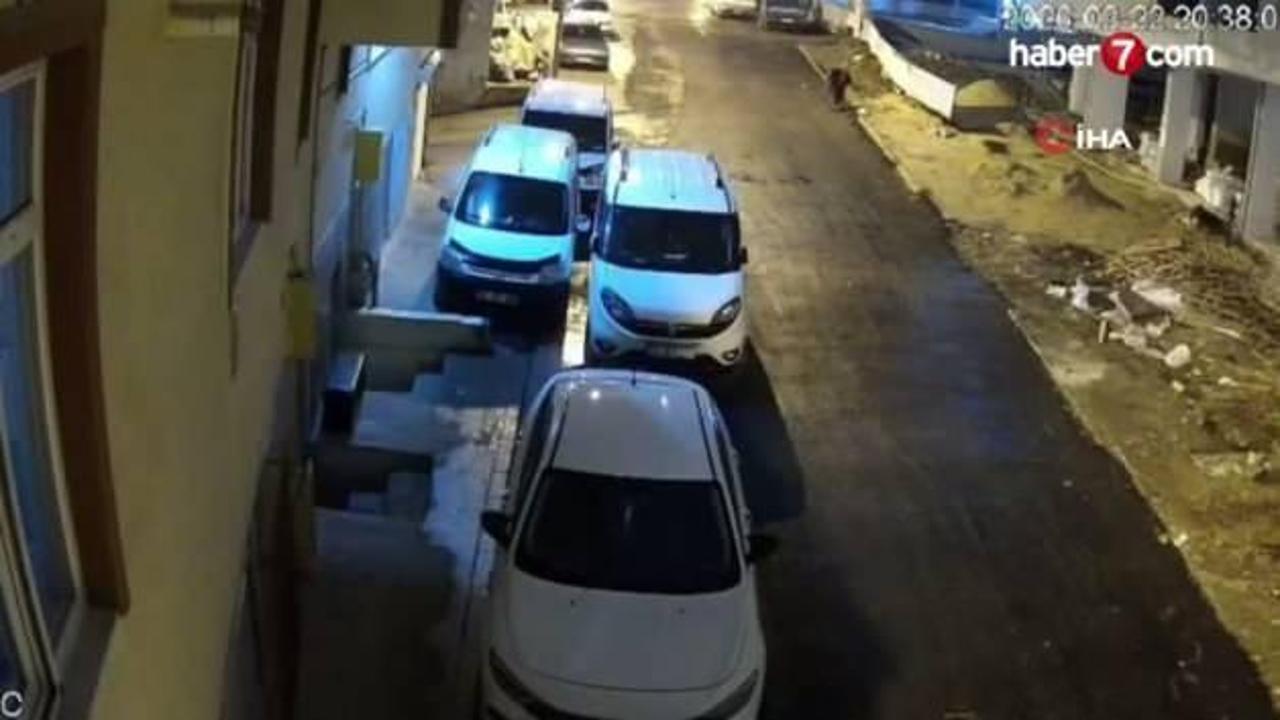 Sokak köpeklerinin dehşeti kamerada: Teravih dönüşü yaşlı kadına saldırdılar