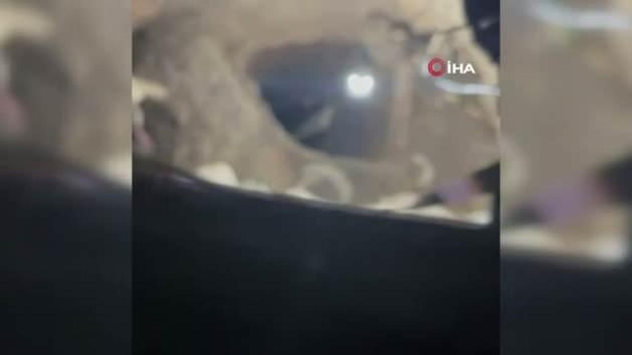 Hatay'da define tutkusunun sonu kötü bitti!