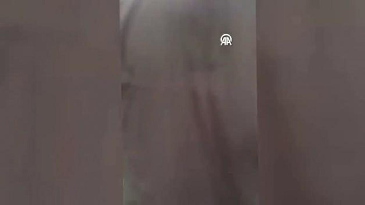 Tekirdağ'da pitbul dehşeti! Saldırı anı kameraya yansıdı