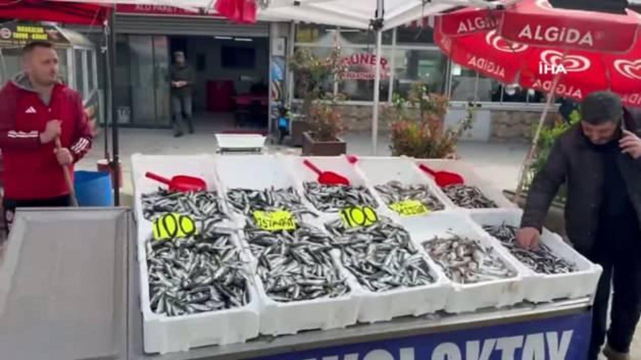 Zonguldak'ta tezgahlarda istavrit bolluğu: Kilosu 100 liradan satılıyor