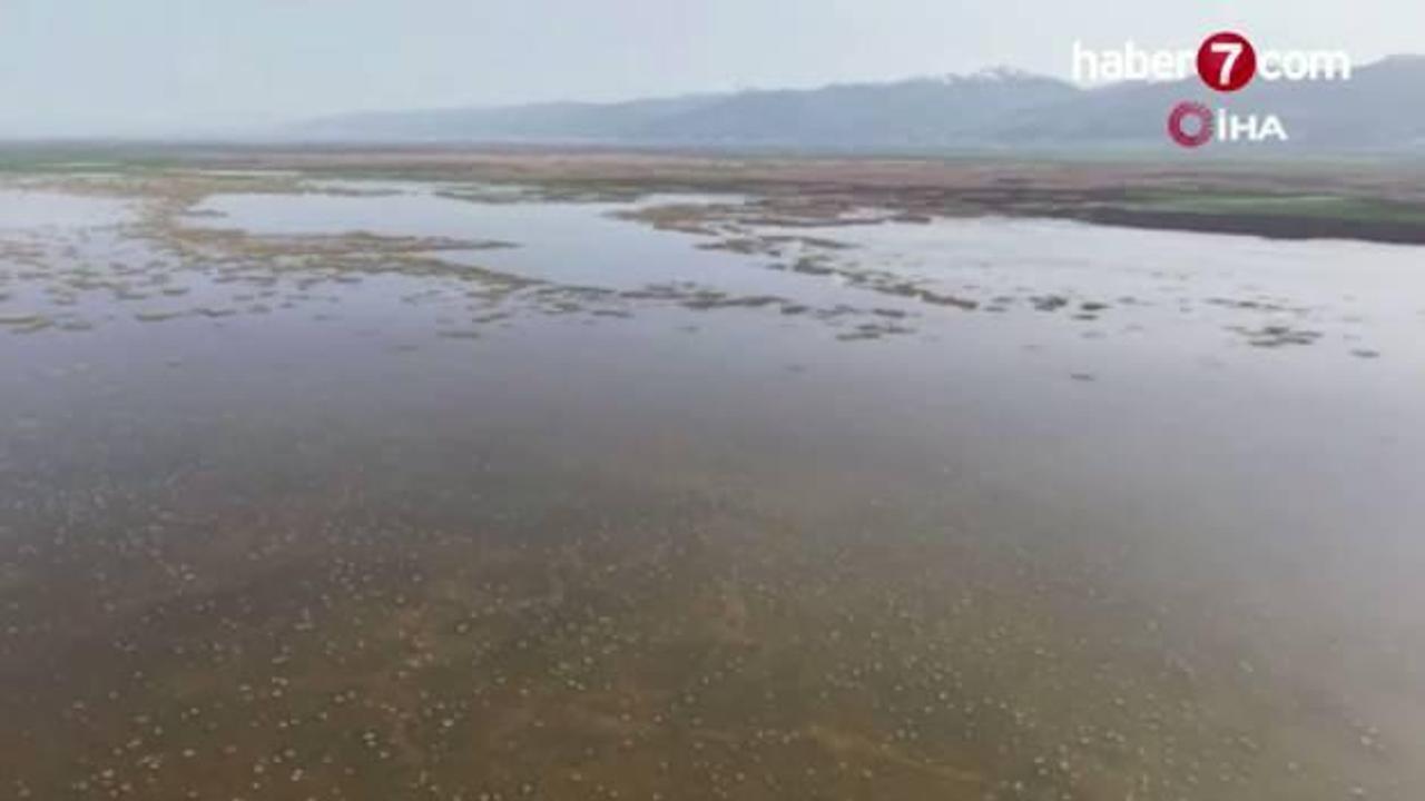 Akşehir Gölü 8 yıl aradan sonra su tutmaya başladı