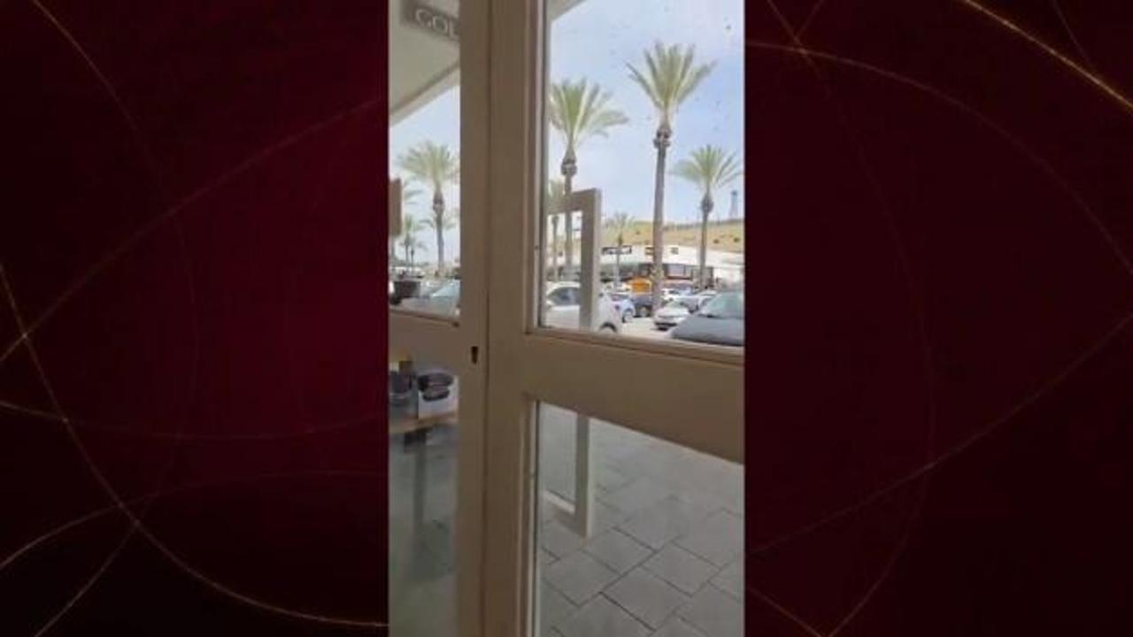 Arıların istila ettiği İsrail'de uçak seferleri iptal edildi