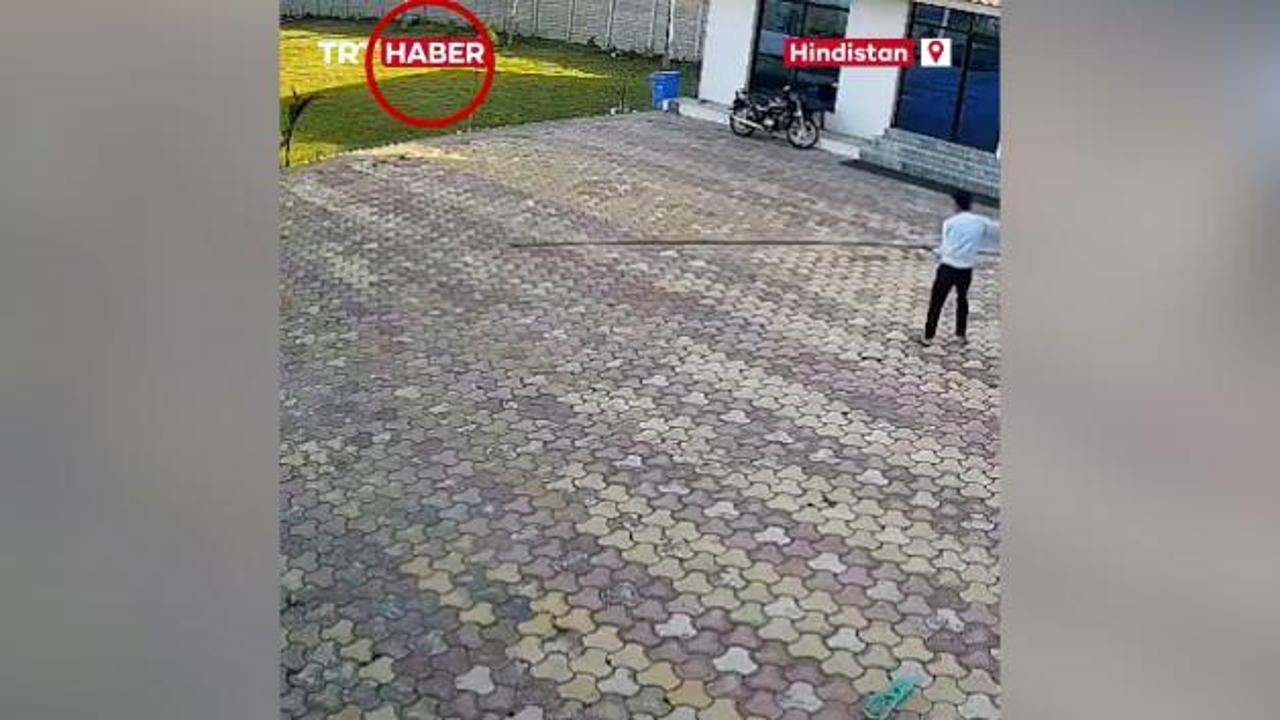 Hindistan'da akılalmaz olay! Maymunu kovalamak isterken canından oldu