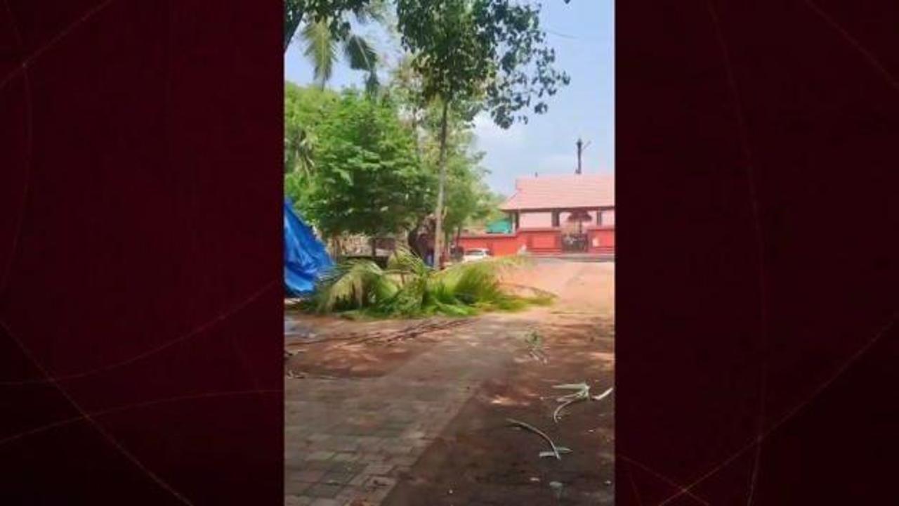 Fil otomobili yerden yere vurdu: Sürücüsünü ezip başında bekledi!