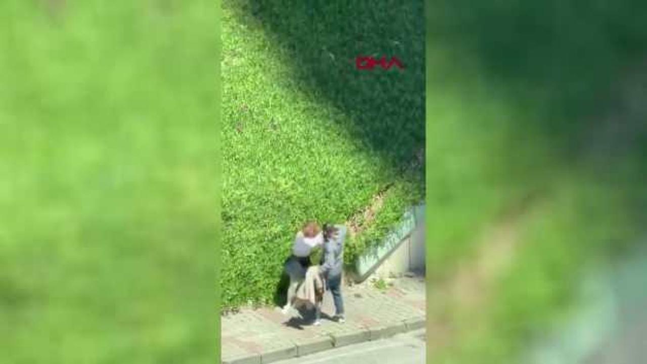 Maltepe'de kadını darbeden şahıs müdahaled bulunanlara da saldırdı