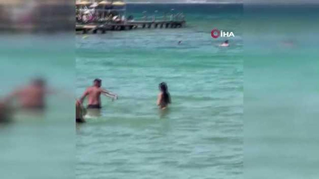 ÇeÅme’de denizde görülen yılan paniÄe neden oldu