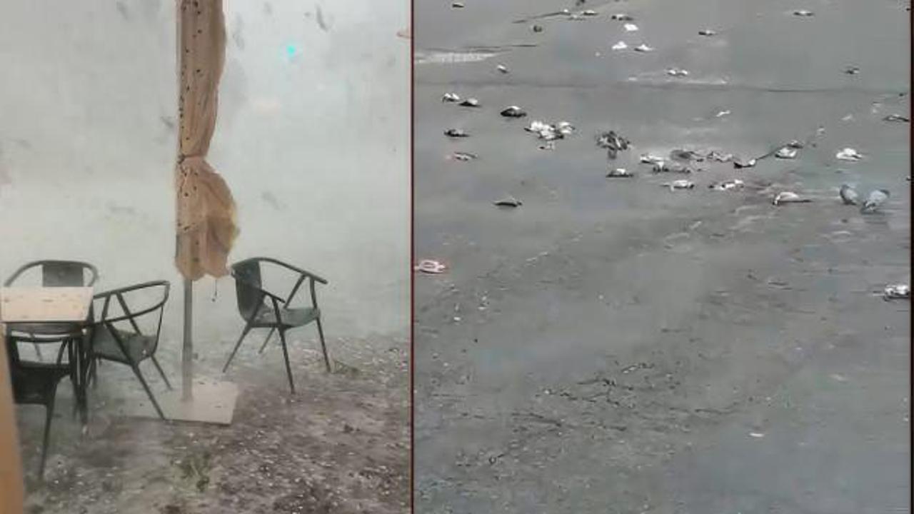 Fırtına ve dolu yaÄıÅı İspanya'yı savaÅ alanına çevirdi