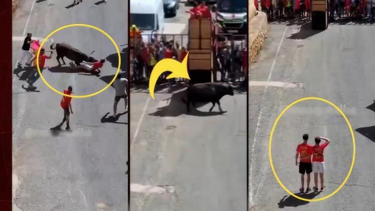 İspanya'da kızgın boÄanın saldırısı genci nakavt etti
