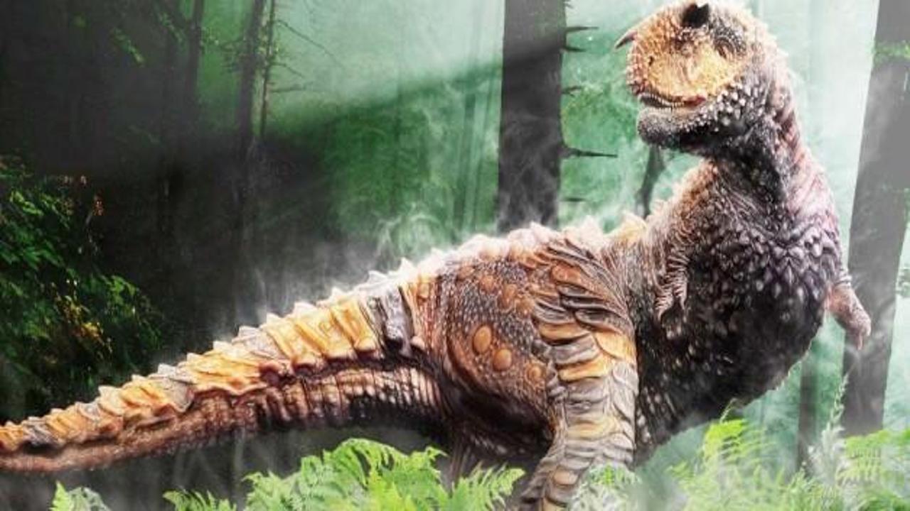 100 milyon yıllık 'dinozor yolu' bulundu