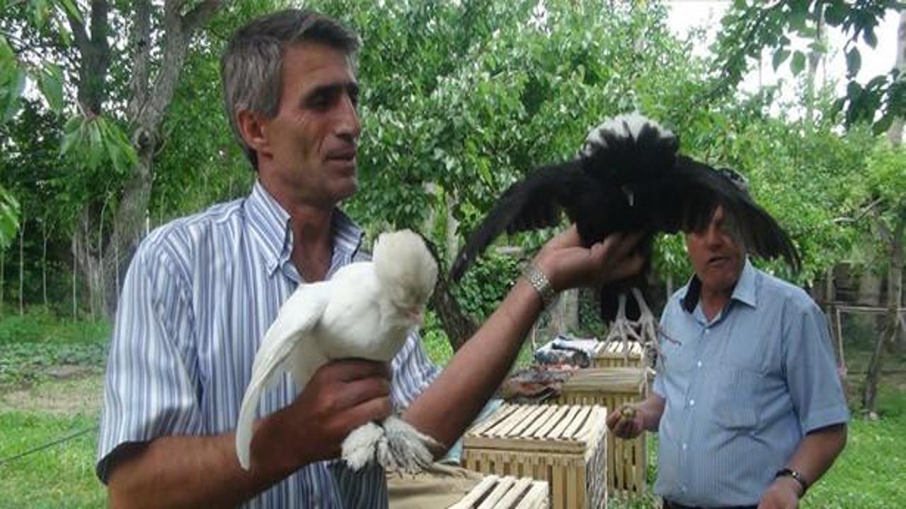 WWF-Türkiye'den "evlat edinme" kampanyası