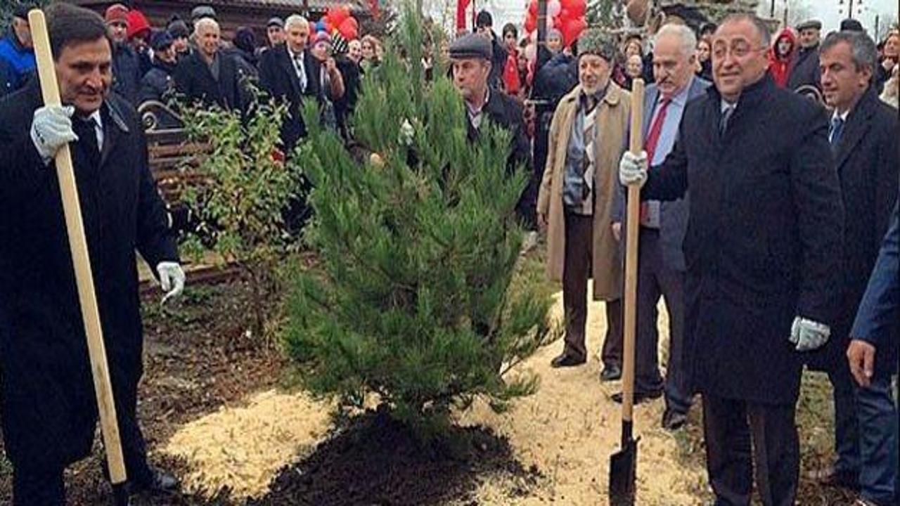 180 ağacı kesti Dağıstan'da &ccedil;am dikti