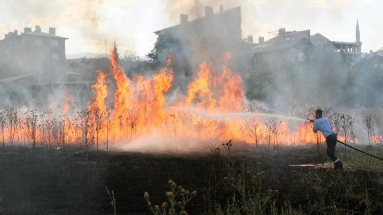 Sivas'ta arazi yangını